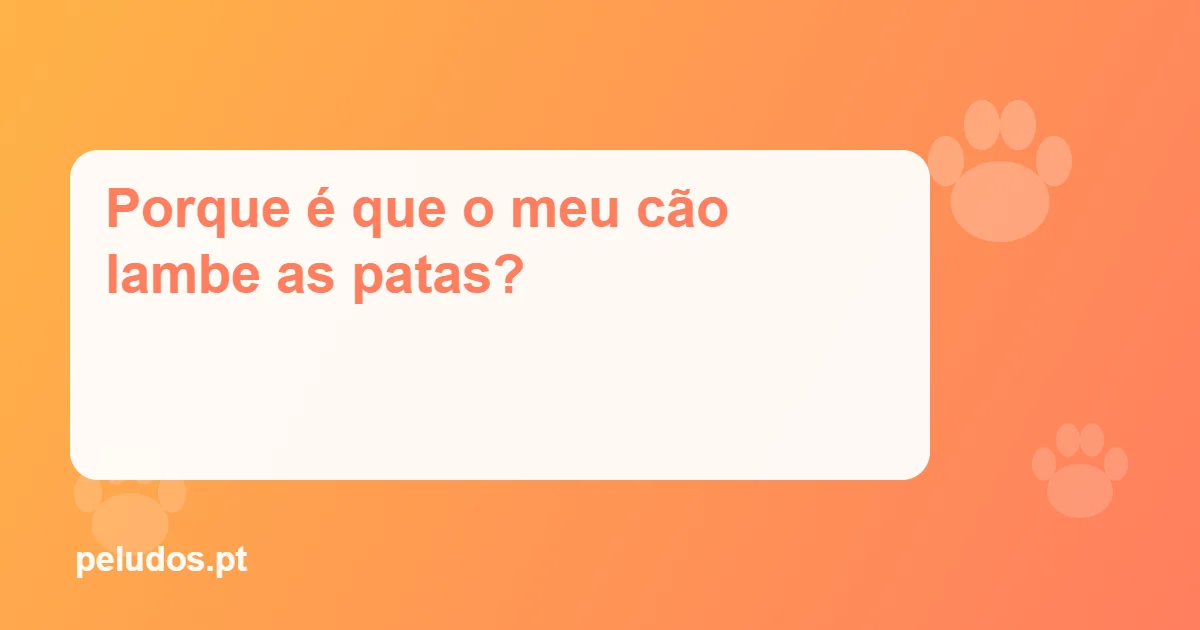 Imagem de destaque: Porque é que o meu cão lambe as patas?