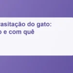 Imagem de destaque: Desparasitação do gato: quando e com quê