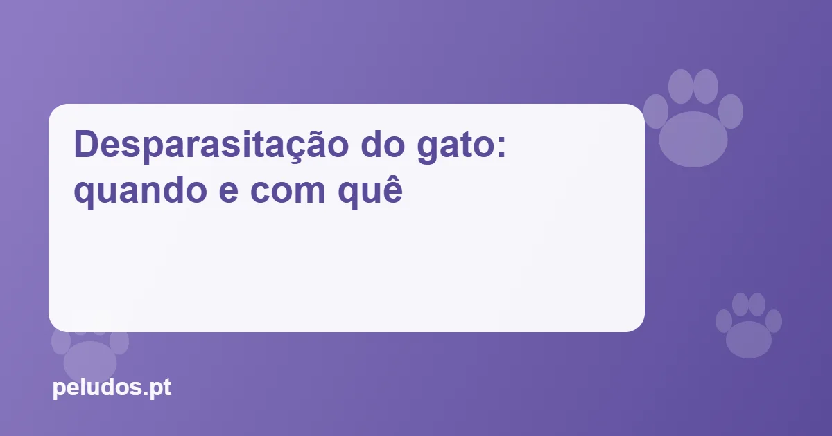 Imagem de destaque: Desparasitação do gato: quando e com quê