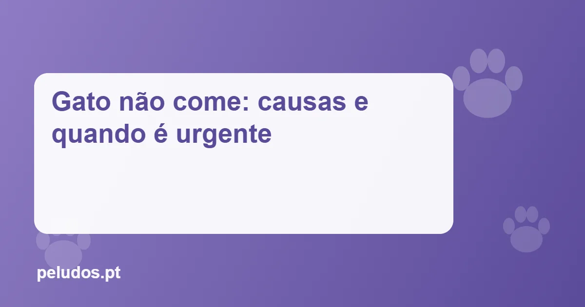 Imagem de destaque: Gato não come: causas e quando é urgente