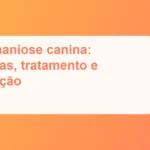 Imagem de destaque: Leishmaniose canina: sintomas, tratamento e prevenção