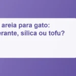 Imagem de destaque: Melhor areia para gato: aglomerante, sílica ou tofu?