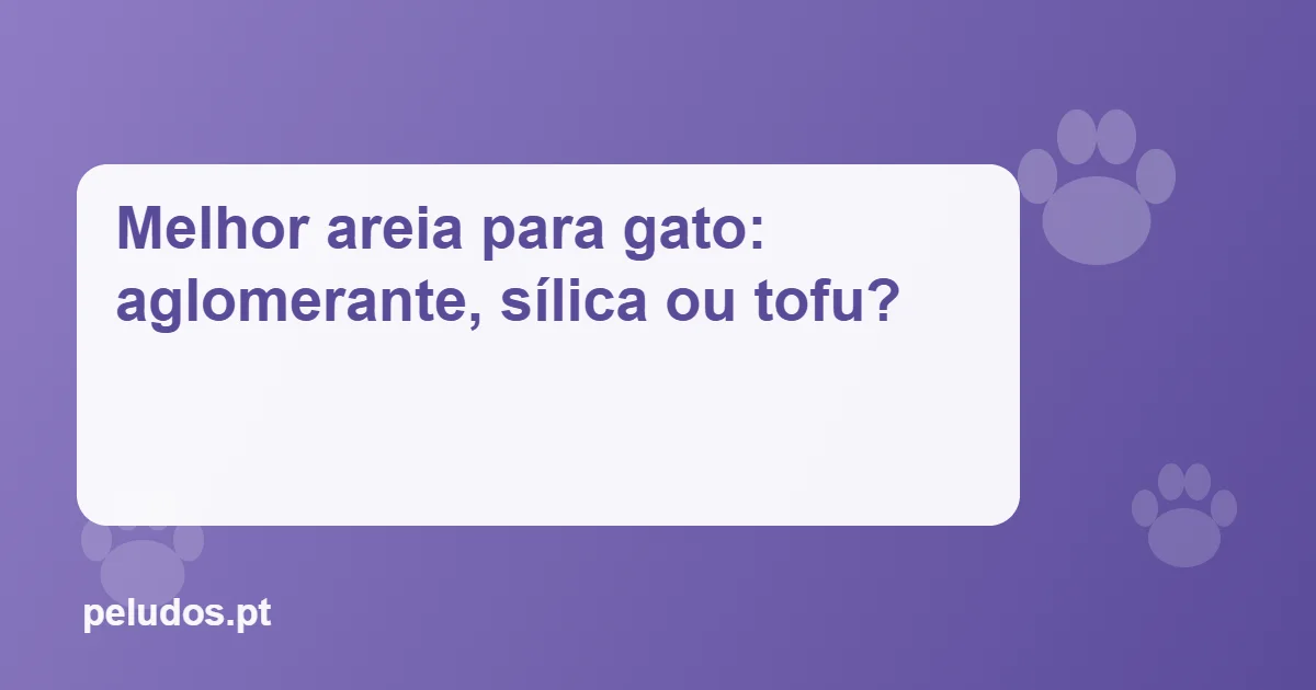 Imagem de destaque: Melhor areia para gato: aglomerante, sílica ou tofu?
