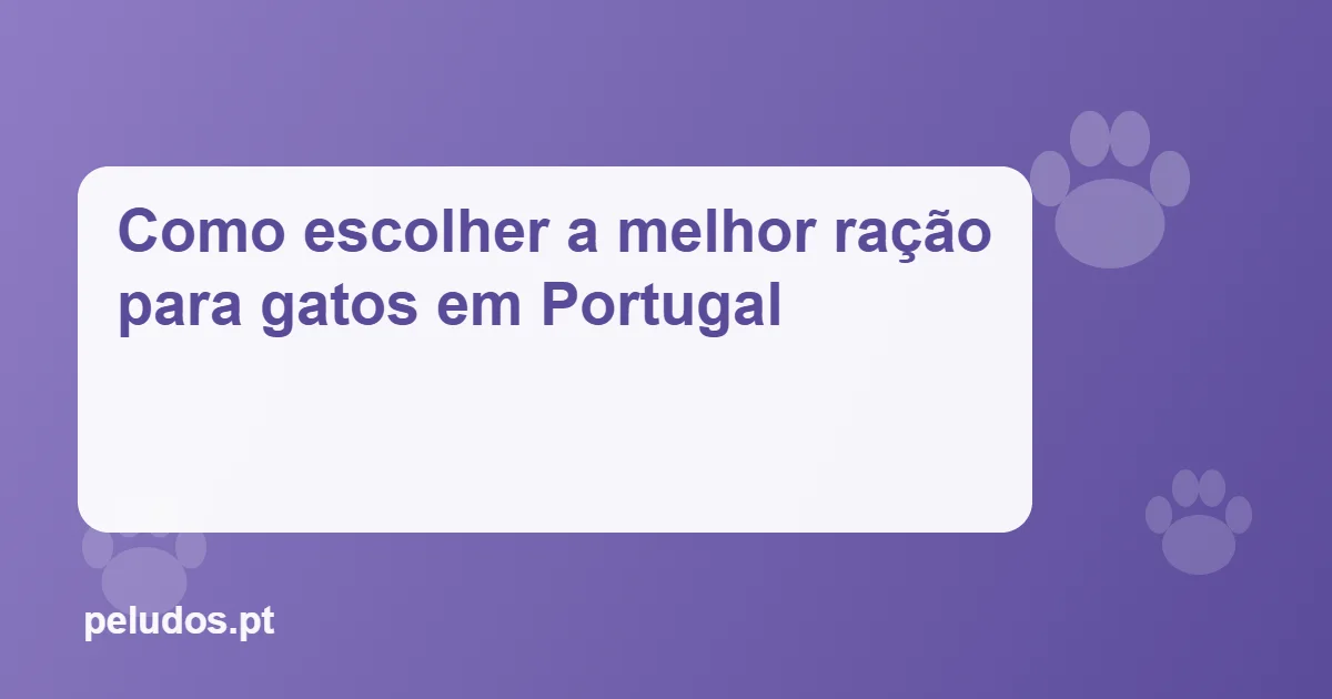 Imagem de destaque: Como escolher a melhor ração para gatos em Portugal