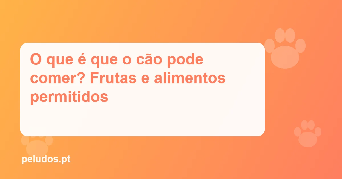 Imagem de destaque: O que é que o cão pode comer? Frutas e alimentos permitidos