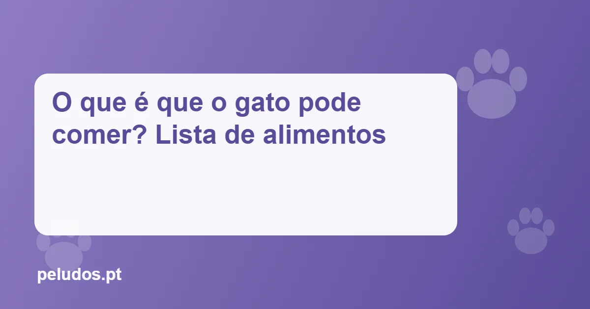 Imagem de destaque: O que é que o gato pode comer? Lista de alimentos