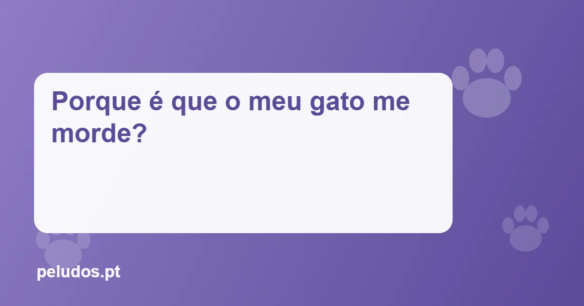 Imagem de destaque: Porque é que o meu gato me morde?