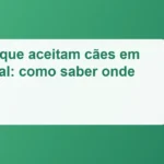 Imagem de destaque: Praias que aceitam cães em Portugal: como saber onde pode ir