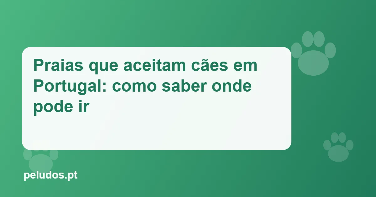 Imagem de destaque: Praias que aceitam cães em Portugal: como saber onde pode ir