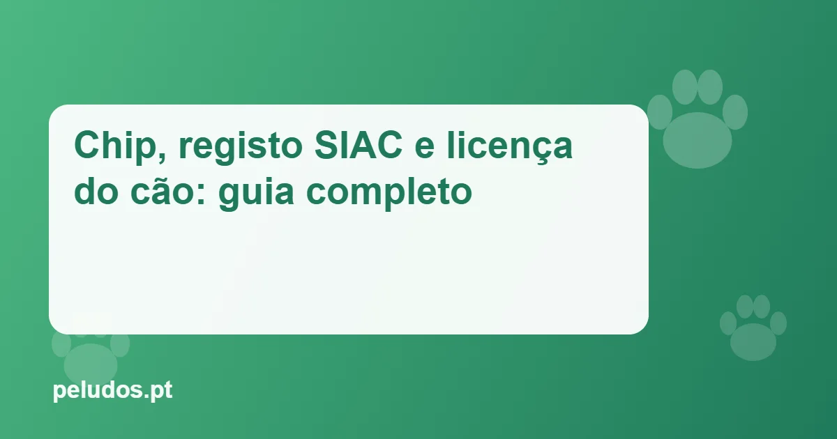Imagem de destaque: Chip, registo SIAC e licença do cão: guia completo