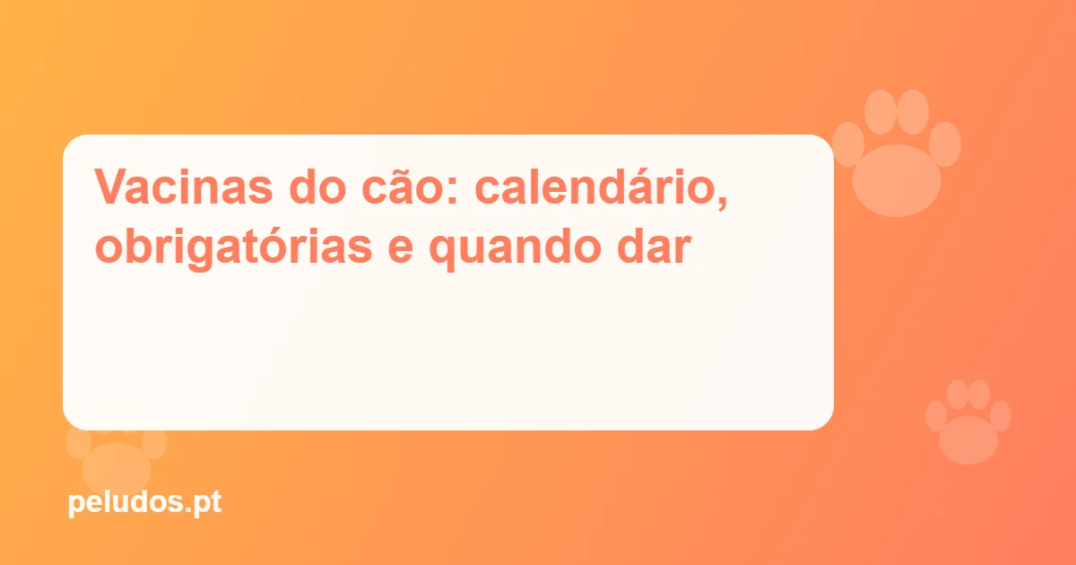 Imagem de destaque: Vacinas do cão: calendário, obrigatórias e quando dar